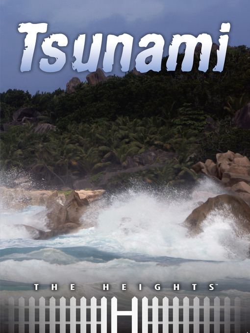 Title details for Tsunami by Saddleback Educational Publishing - Available